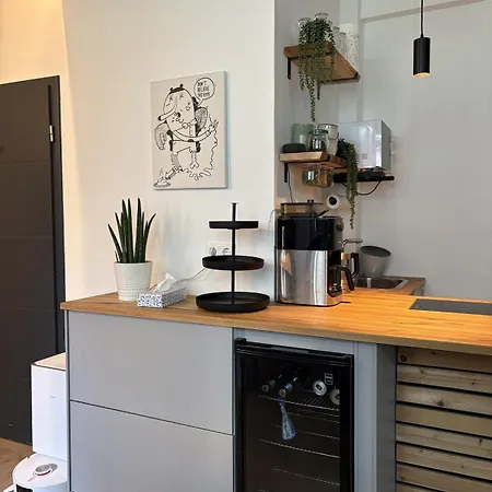 Helles Souterrain-apartment Mit Gartenzugang Und Eigener Sauna * Dresden